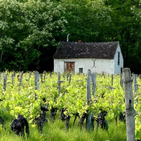 Maison De Bourg Paisible Parcay-sur-Vienne Exterior photo