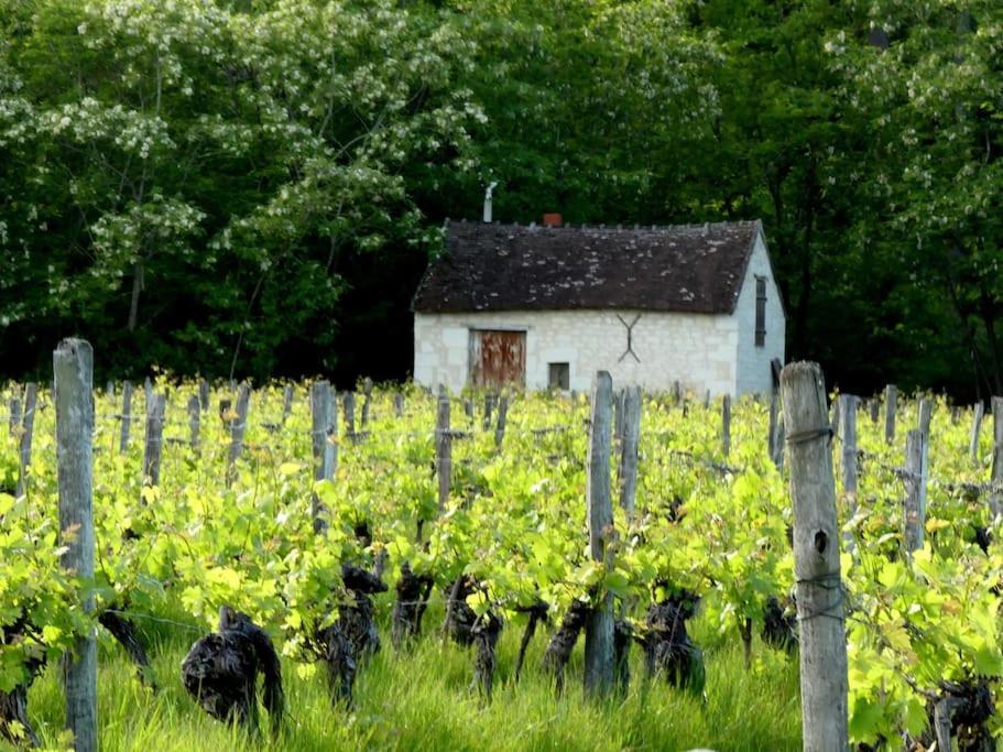 Maison De Bourg Paisible *