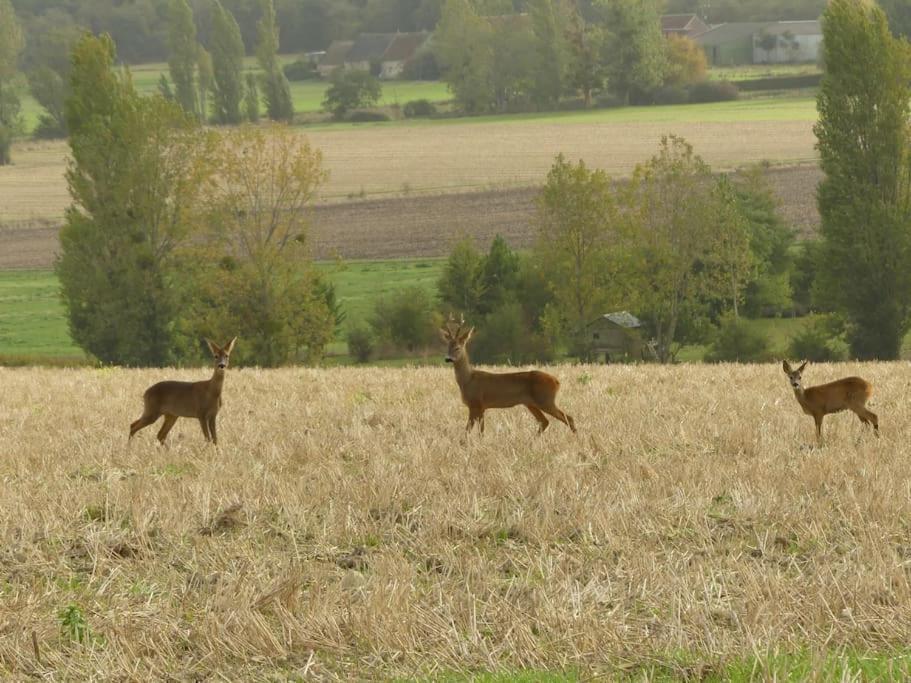 Hébergement de vacances Maison De Bourg Paisible *